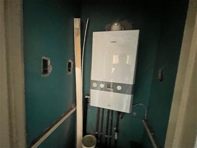 Picture 7